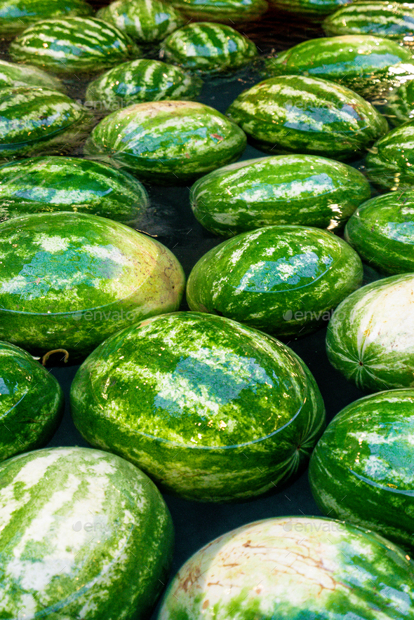 Watermelons float on the surface of water. Concept of watermelon day Stock Photo by EwaStudio